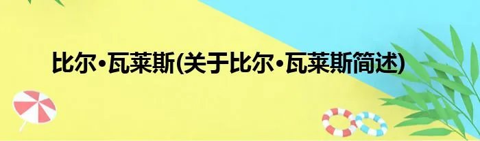 比尔·瓦莱斯(关于比尔·瓦莱斯简述)