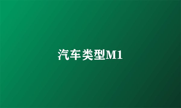 汽车类型M1