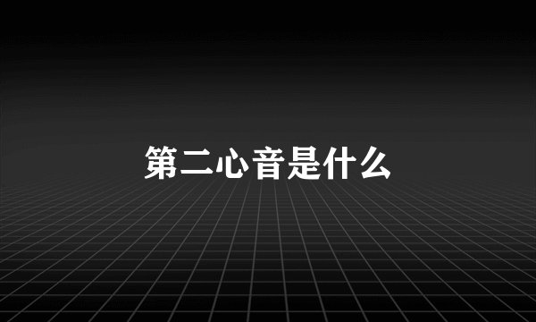 第二心音是什么