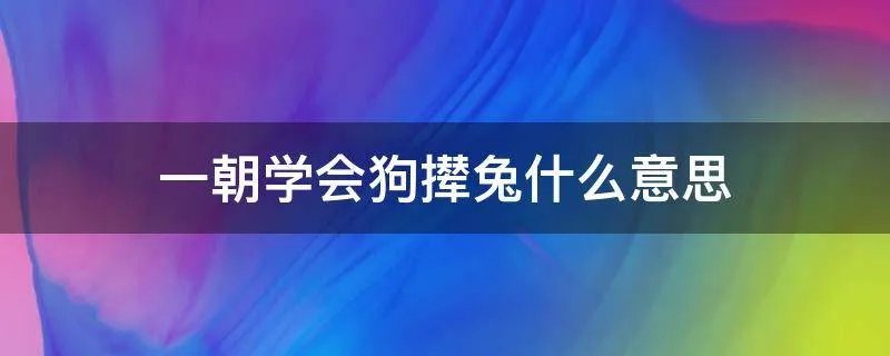 一朝学会狗撵兔什么意思