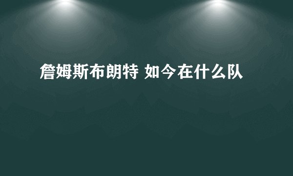 詹姆斯布朗特 如今在什么队