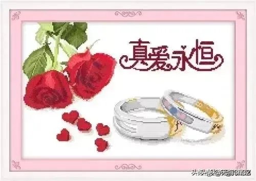 有什么惊艳的句子?