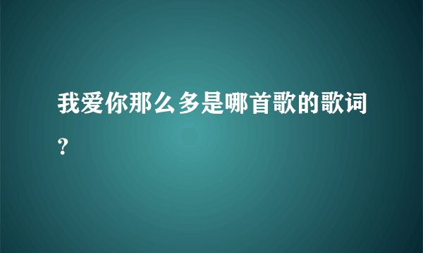 我爱你那么多是哪首歌的歌词?