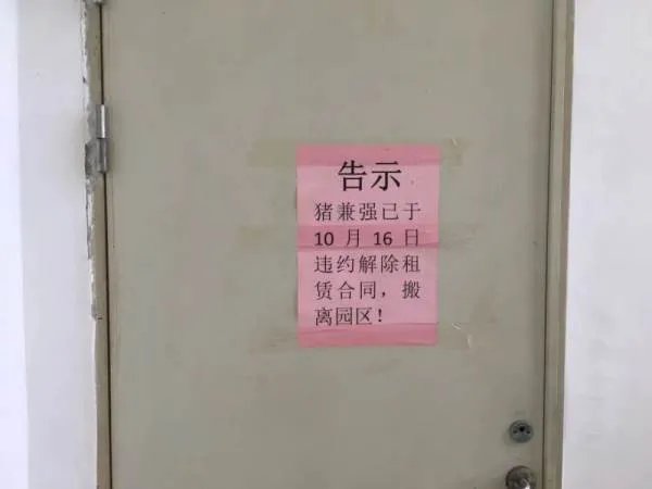 知名驾校猪兼强的经营模式是怎样的,如今为何会负债累累?
