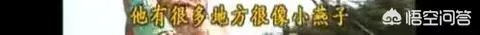 《还珠格格》的尔泰喜欢小燕子吗?
