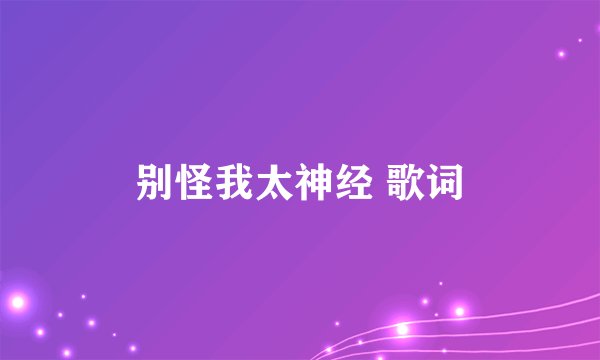 别怪我太神经 歌词