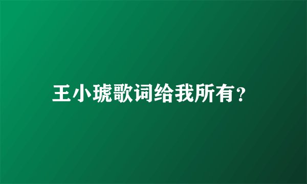 王小琥歌词给我所有?