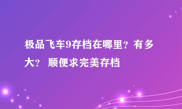 极品飞车9存档在哪里?有多大? 顺便求完美存档