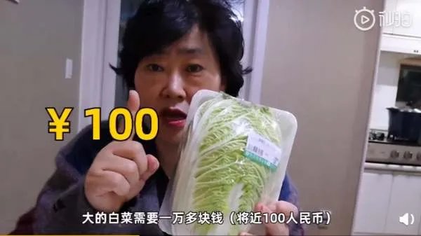 韩国白菜为何比中国贵10倍?