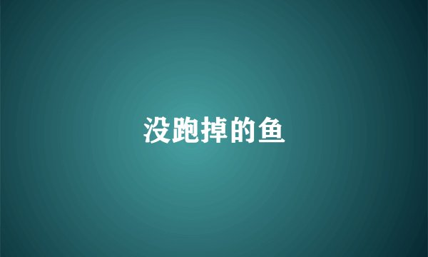没跑掉的鱼