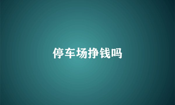 停车场挣钱吗