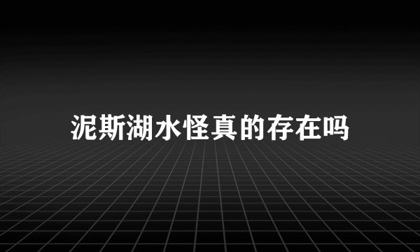 泥斯湖水怪真的存在吗