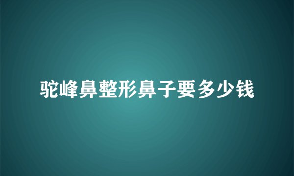 驼峰鼻整形鼻子要多少钱