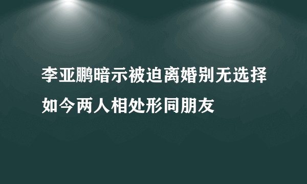 李亚鹏暗示被迫离婚别无选择如今两人相处形同朋友
