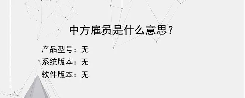 中方雇员是什么意思？