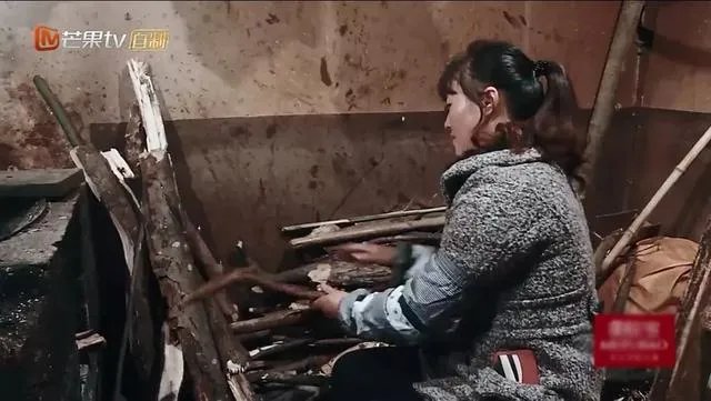 如何看待《变形计之平行世界》?