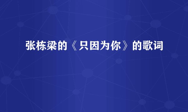 张栋梁的《只因为你》的歌词