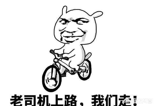 想入手一辆1万左右的二手车，大家有什么推荐吗？