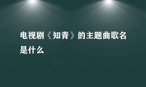 电视剧《知青》的主题曲歌名是什么