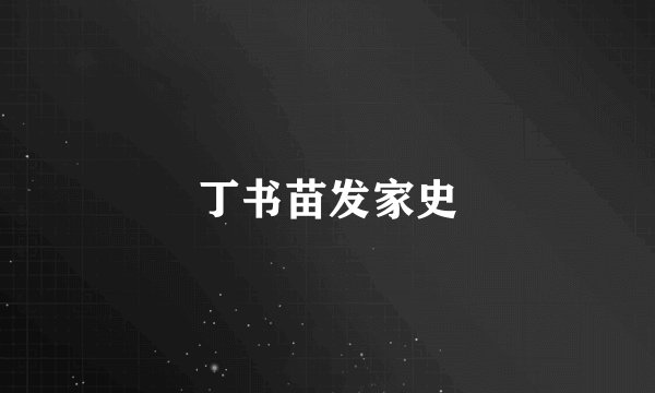 丁书苗发家史