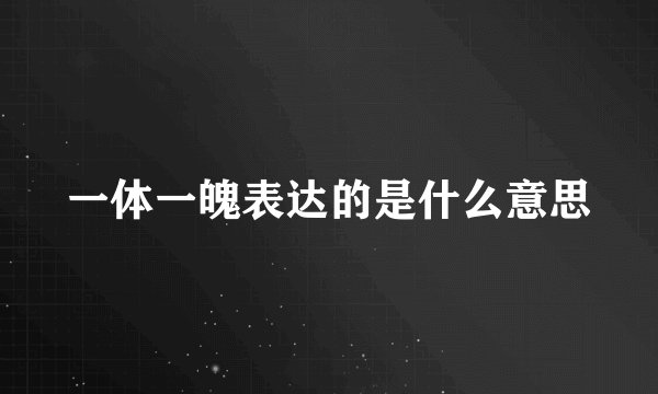 一体一魄表达的是什么意思