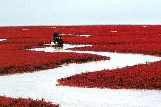 求盘锦旅游景点大全排名,哪些比较推荐?