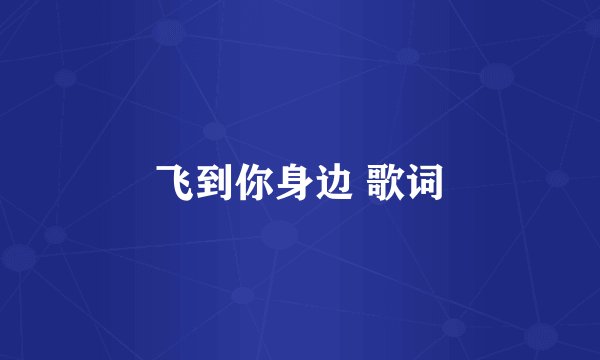 飞到你身边 歌词