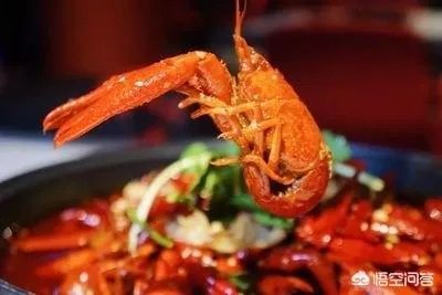 今后3年内,对于小龙虾养殖户来说,所要面对的市场风险与机遇有哪些?