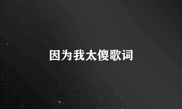 因为我太傻歌词