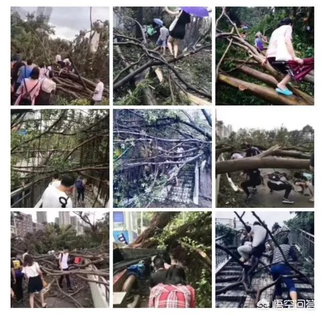 2017台风山竹