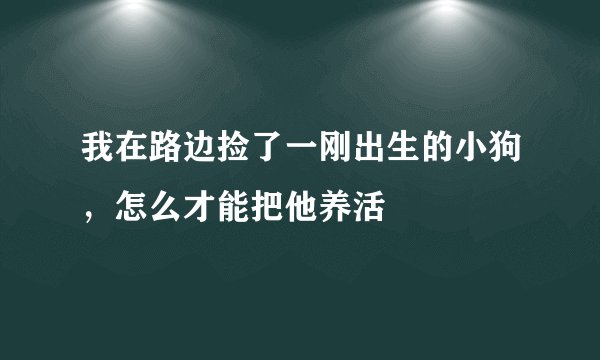我在路边捡了一刚出生的小狗,怎么才能把他养活