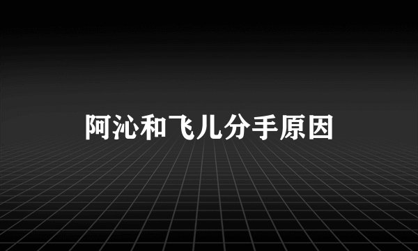 阿沁和飞儿分手原因