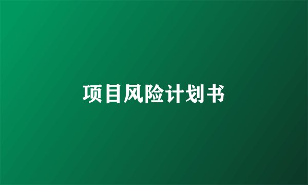 项目风险计划书