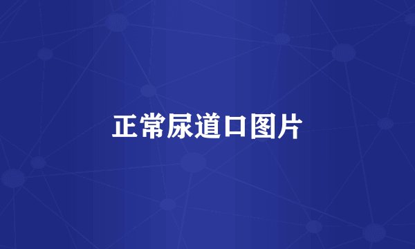 正常尿道口图片