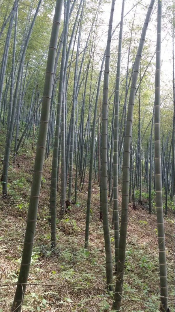 江苏有哪些好玩的地方?