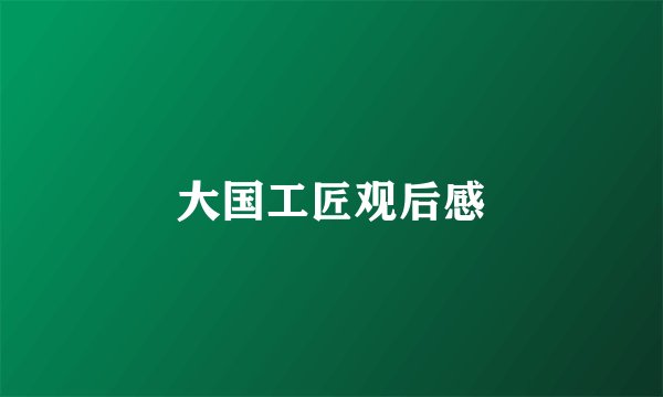 大国工匠观后感
