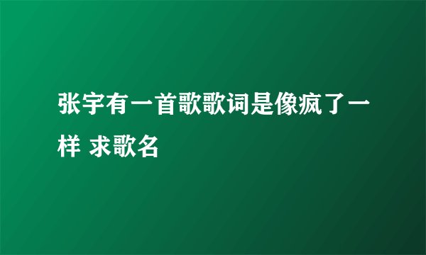 张宇有一首歌歌词是像疯了一样 求歌名