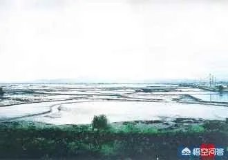 漳州市漳浦县沙西镇为什么被称为中国榕树盆景之乡?