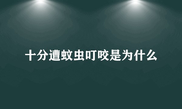 十分遭蚊虫叮咬是为什么