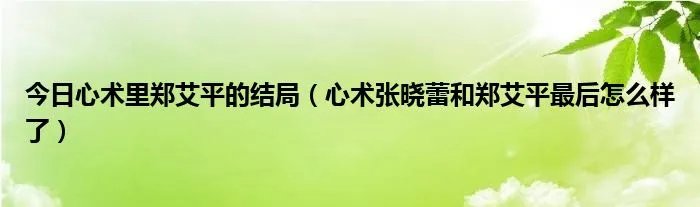 今日心术里郑艾平的结局（心术张晓蕾和郑艾平最后怎么样了）