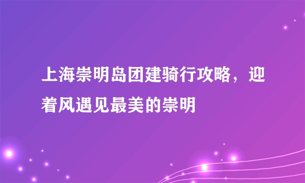 上海崇明岛团建骑行攻略，迎着风遇见最美的崇明