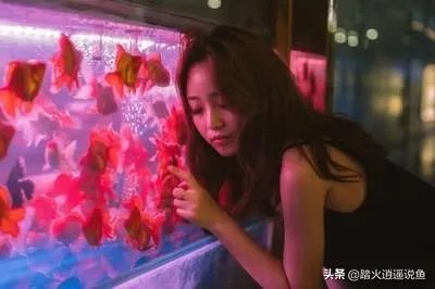 鱼缸增氧泵开的越大越好吗？