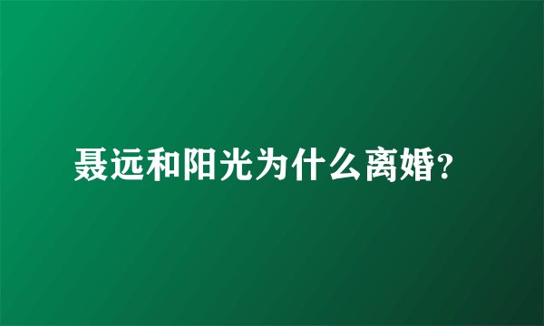 聂远和阳光为什么离婚？