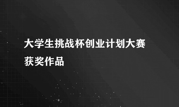 大学生挑战杯创业计划大赛 获奖作品
