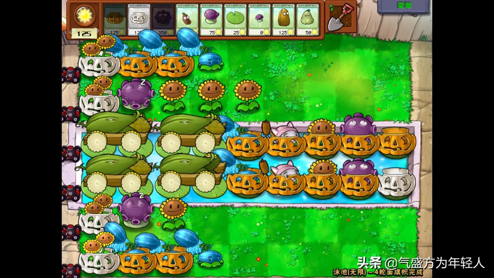 植物大战僵尸攻略大全图解(最佳阵型分析)