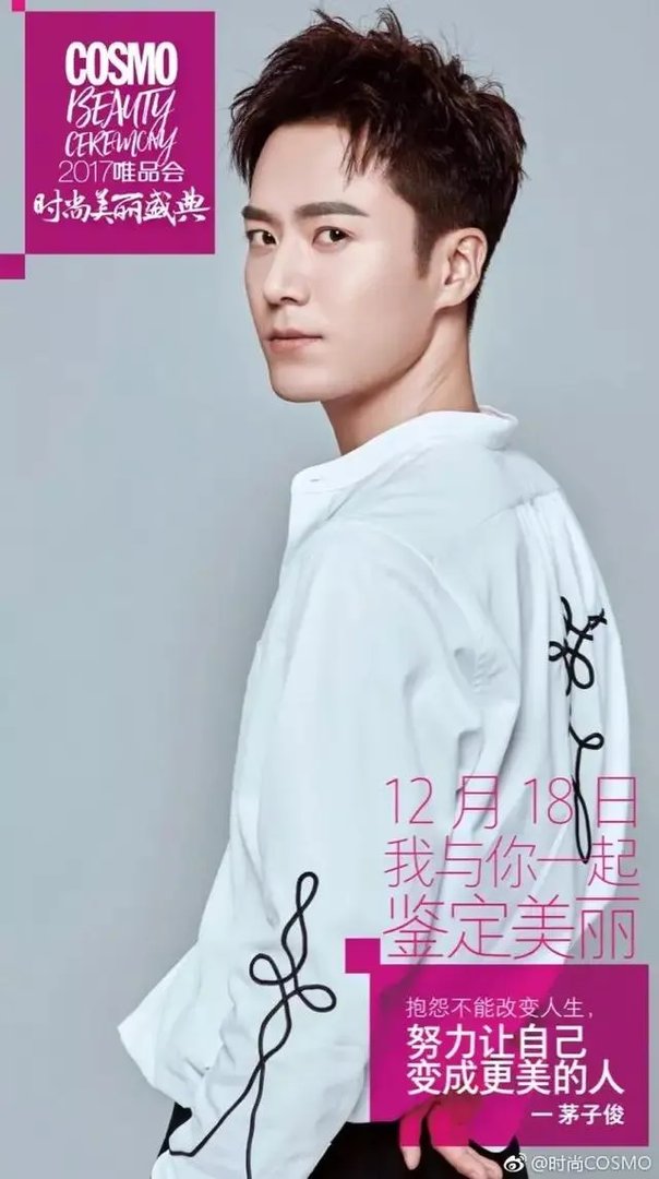 茅子俊为什么一直不火?