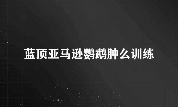 蓝顶亚马逊鹦鹉肿么训练