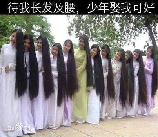 “待我长发及腰”出自哪里？