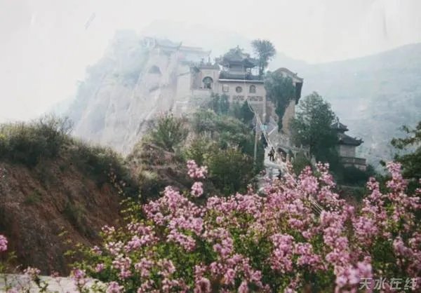 甘谷县的介绍