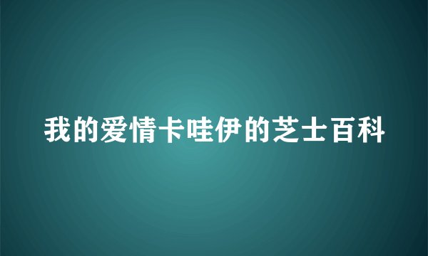 我的爱情卡哇伊的芝士百科